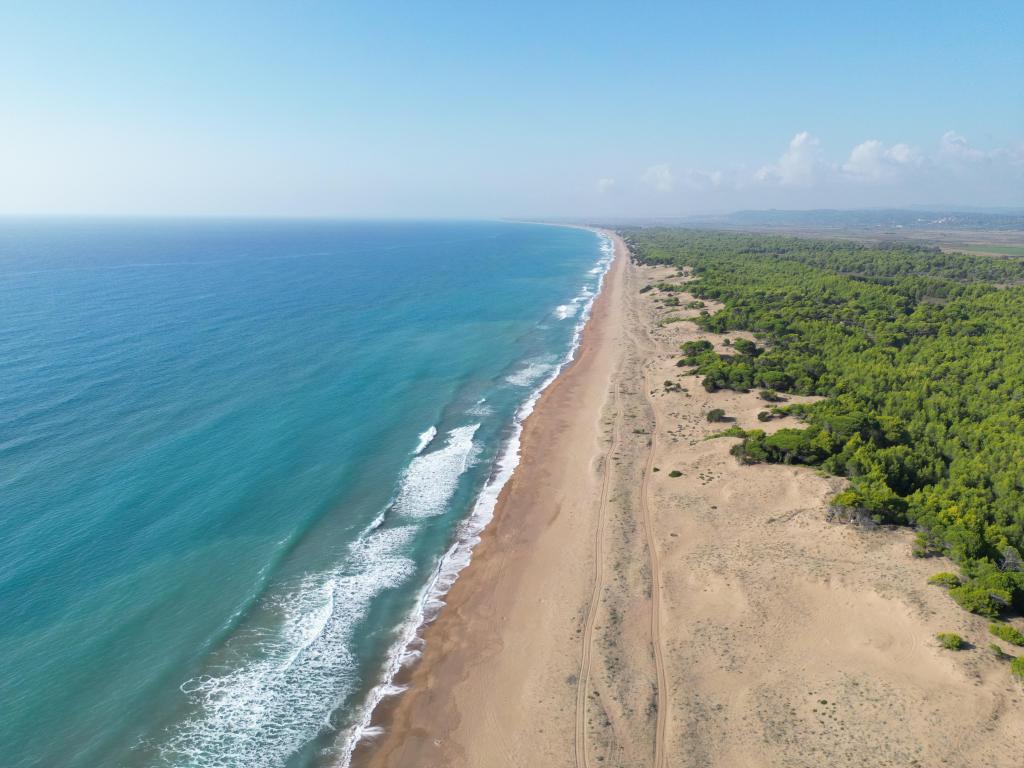 Sandstrand in der Nähe